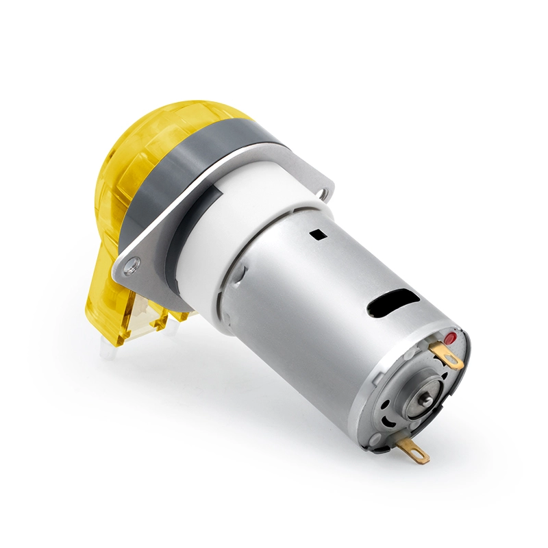 Pompe péristaltique à moteur DC LFP102/DB (Plage de débit : 9-110 ml/min)