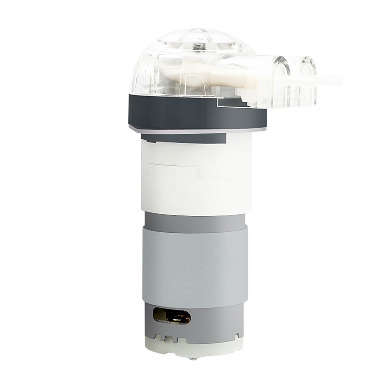 Pompe péristaltique à moteur CC LFP102A/DB (Débit : 0,5-15 ml/min)