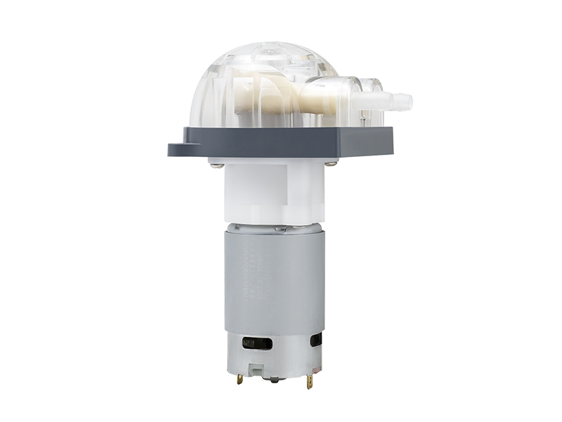 Pompe péristaltique à moteur DC LFP303A/DB (Débit : 210-730 ml/min)