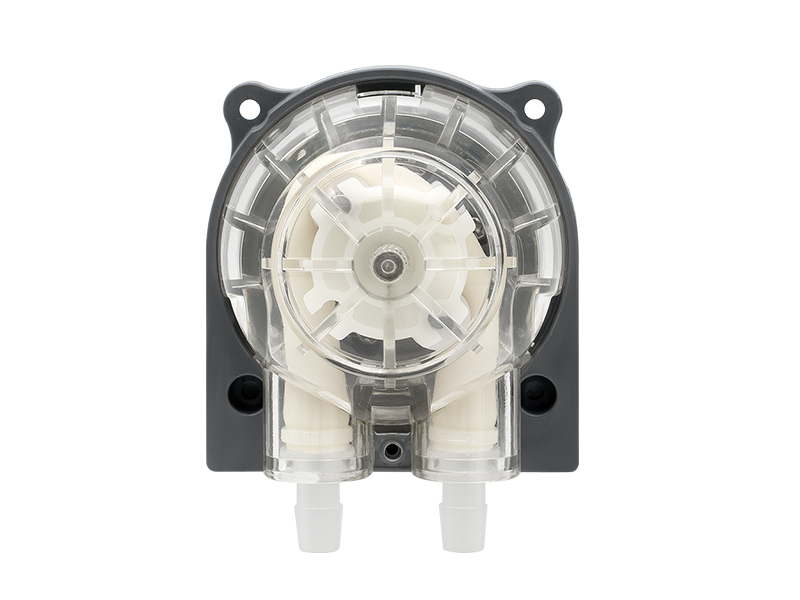 Pompe péristaltique à moteur DC LFP303A/DB (Débit : 210-730 ml/min)